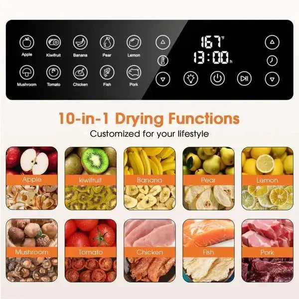 Food Dehydrator, Stainless Steel Food Dryer for Kitchen FD - 1008A 12 - Trays Teendow - Teendow Australia